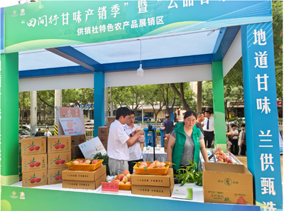 聚力产销对接助力桃农增收——兰州市安宁区政府网站部门动态助力农户拓宽销售渠道